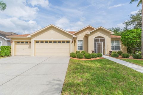 Photo of 10914 Wildcat Drive, Riverview, FL 33579 (MLS # TB8455417)