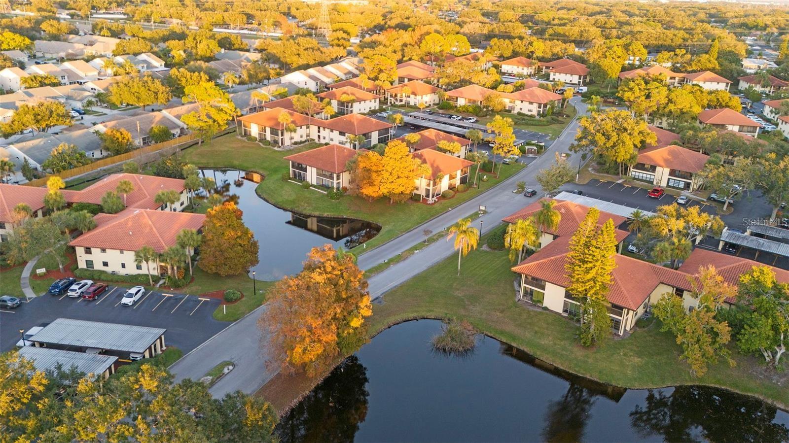 HAMMOCK PINE VILLAGE - Residential Lease