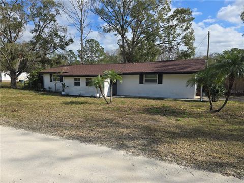 A home in LAND O LAKES