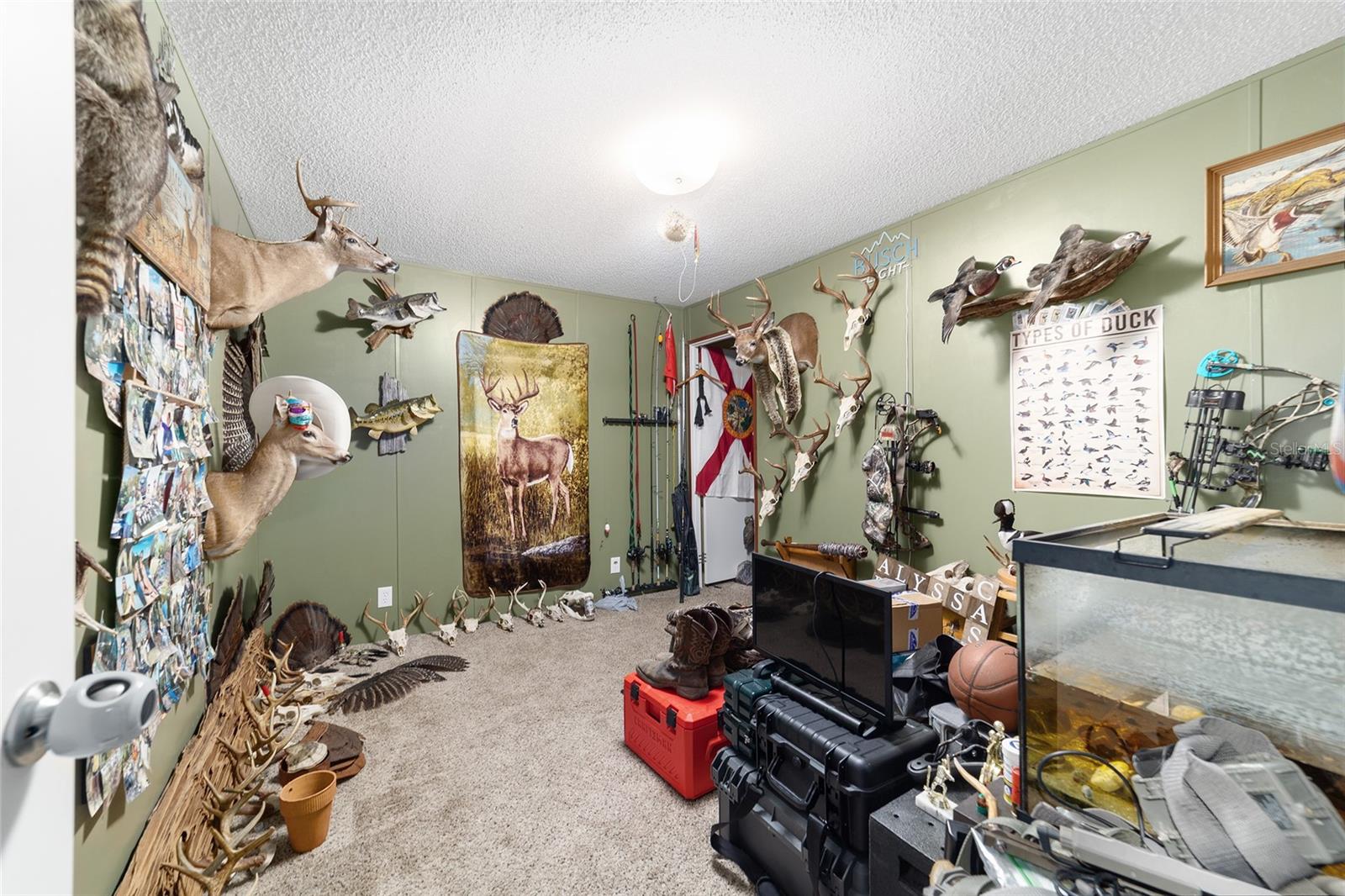 NATIONAL FOREST RECREATION - Residential