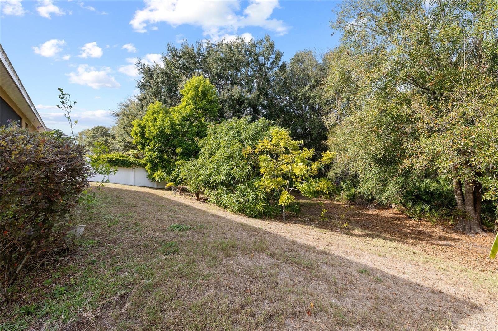 SOUTH FORK UNIT 6 - Residential