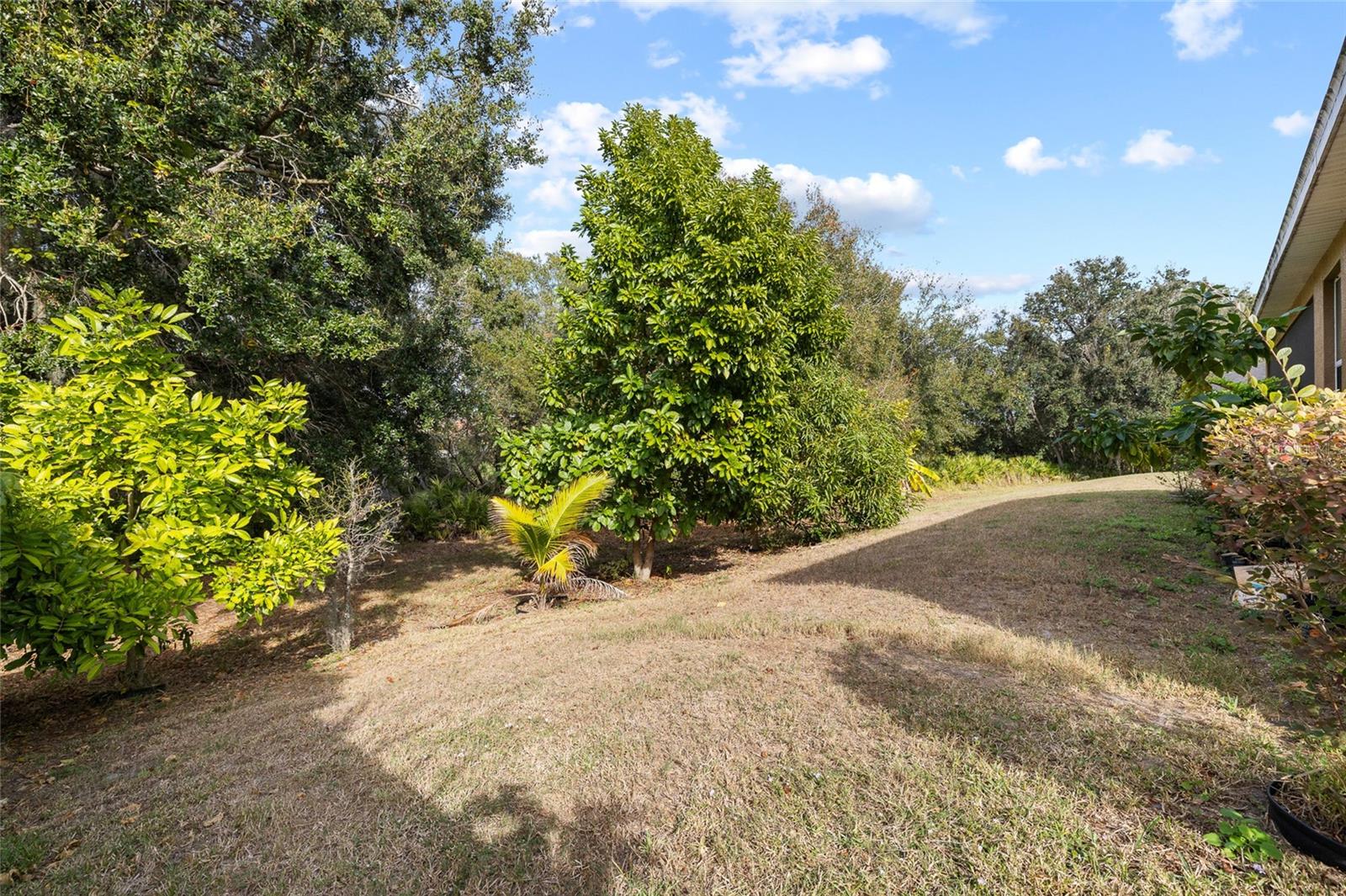 SOUTH FORK UNIT 6 - Residential