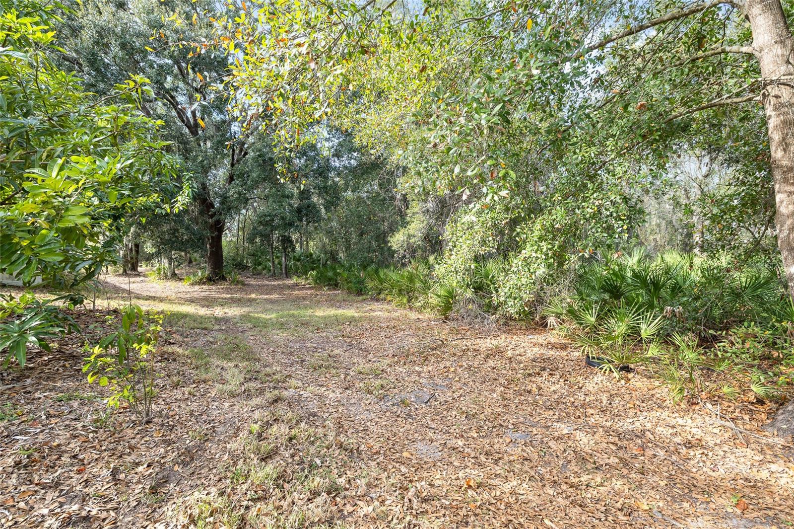 SOUTH FORK UNIT 6 - Residential