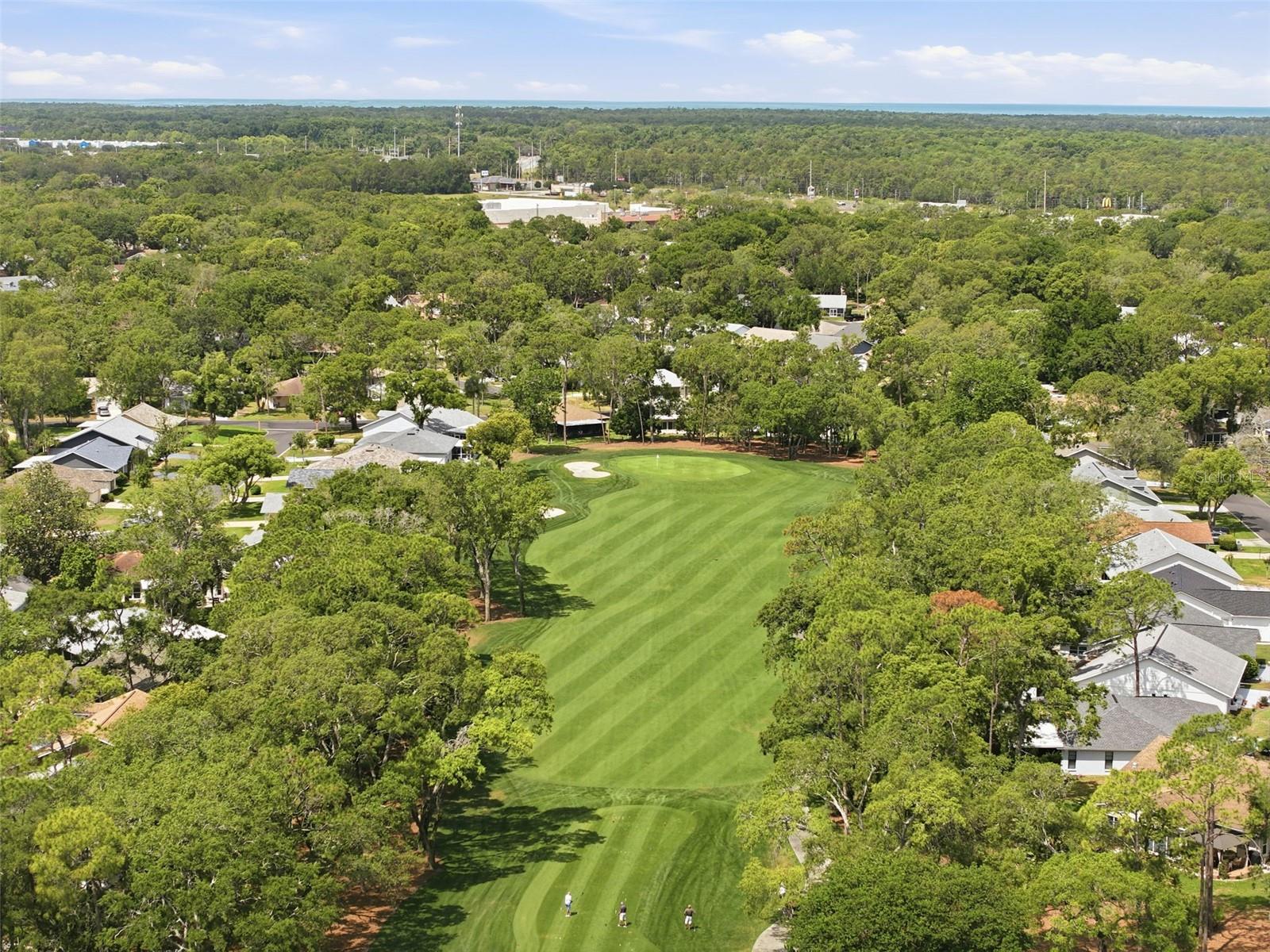 TIMBER PINES - Residential