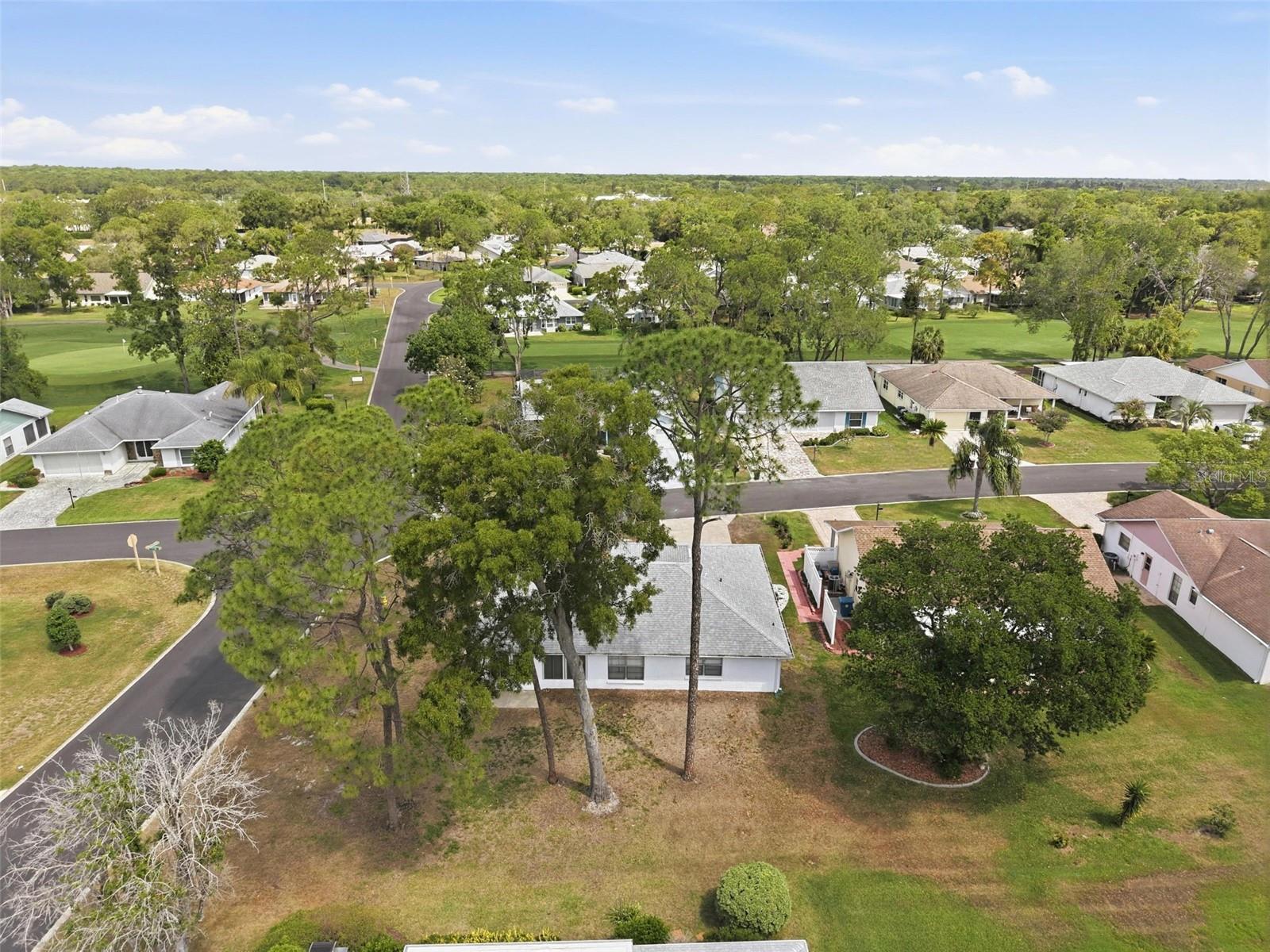 TIMBER PINES - Residential