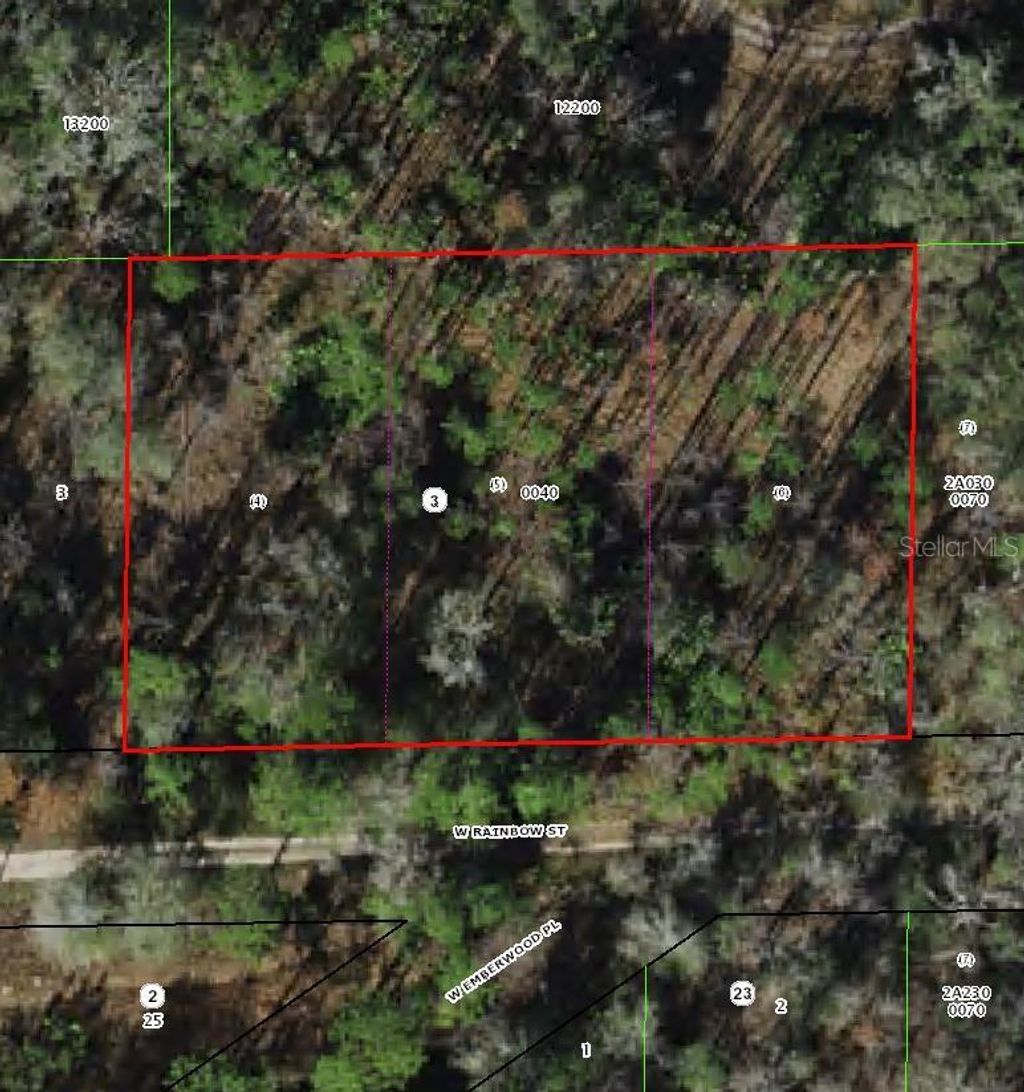 Photo of 7265 W Rainbow Street, Dunnellon, FL 34433 (MLS # TB8508396)