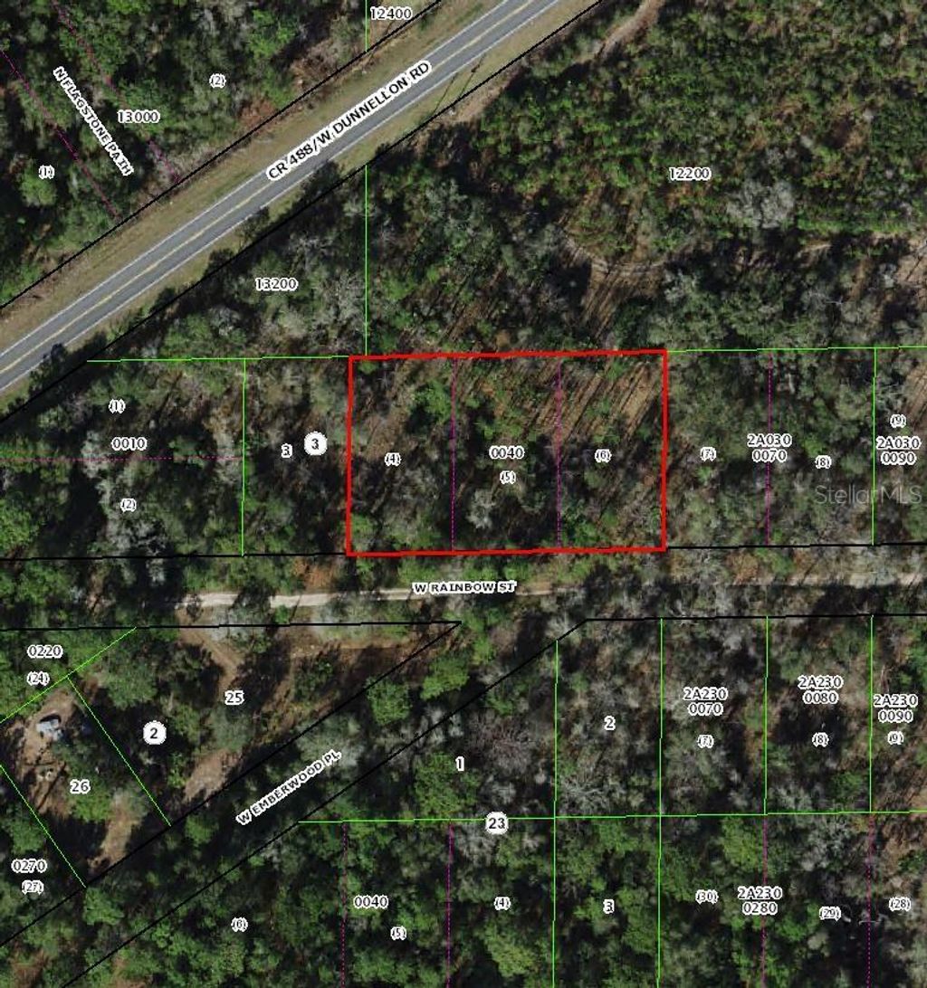 Photo of 7265 W Rainbow Street, Dunnellon, FL 34433 (MLS # TB8508396)