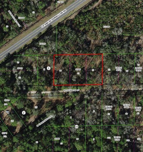 Tiny photo for 7265 W Rainbow Street, Dunnellon, FL 34433 (MLS # TB8508396)