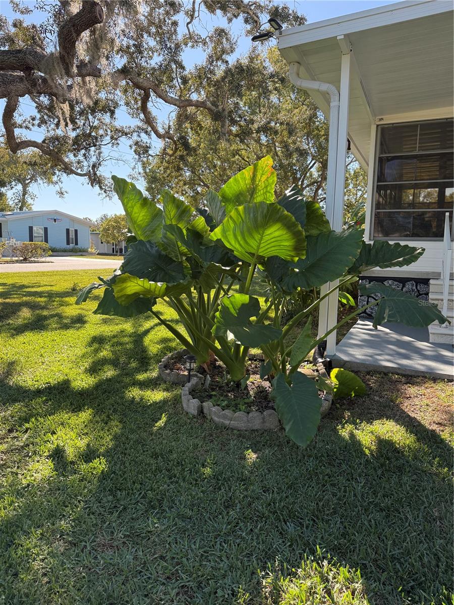 HIGH POINT COMMUNITY - Residential