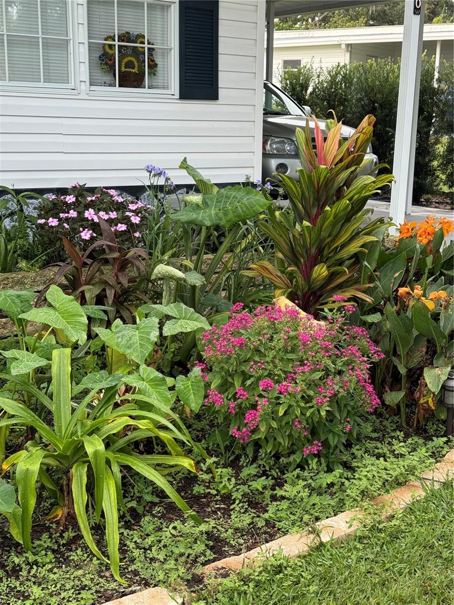 HIGH POINT COMMUNITY - Residential