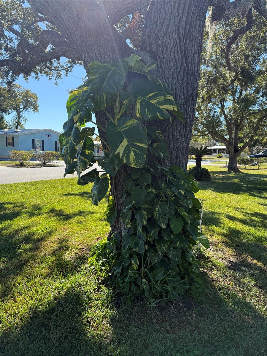 HIGH POINT COMMUNITY - Residential