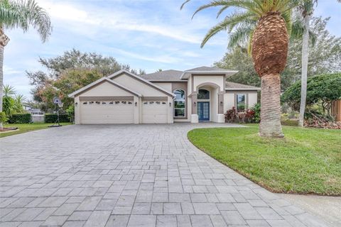 Photo of 9152 Callaway Drive, Trinity, FL 34655 (MLS # TB8461114)