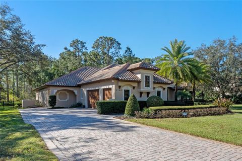 A home in LAKE MARY