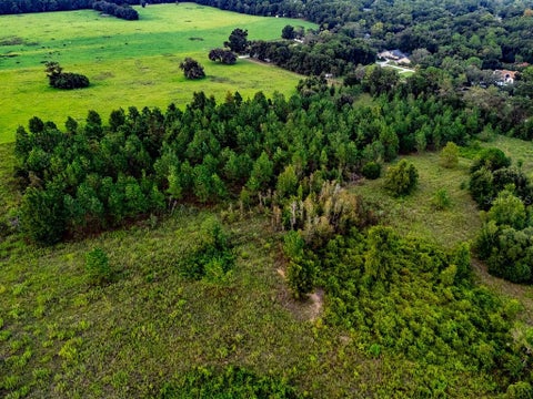 Tiny photo for 1083 N Obrien Point, Lecanto, FL 34461 (MLS # OM729415)