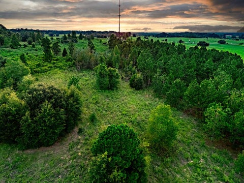 Tiny photo for 1083 N Obrien Point, Lecanto, FL 34461 (MLS # OM729415)