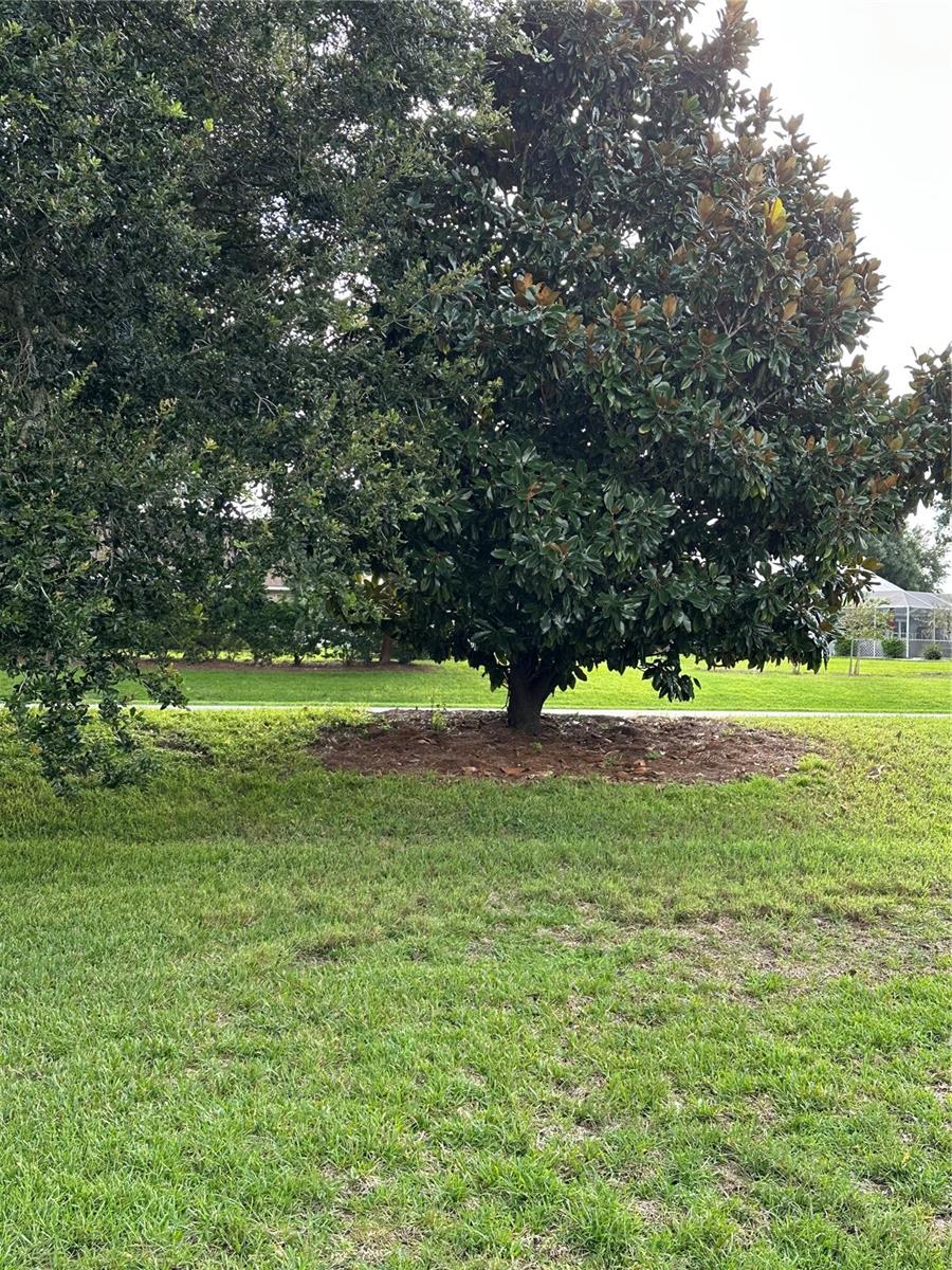 VILLAGES SUMTER - Residential Lease