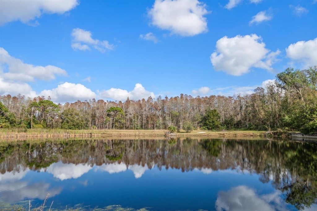 Photo of 18409 Tyler Road, Odessa, FL 33556 (MLS # TB8471433)