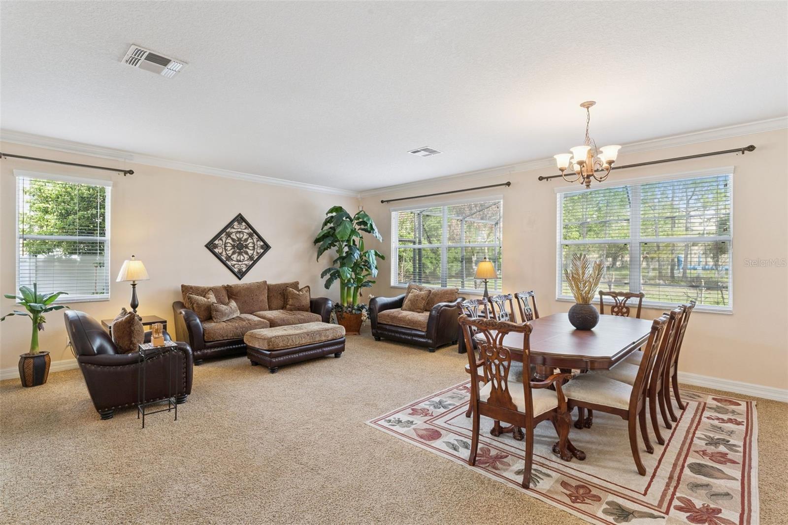 14790 TULLAMORE LOOP