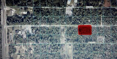 TBD NE 235TH STREET ROAD #12 FORT MC COY FL 32134
