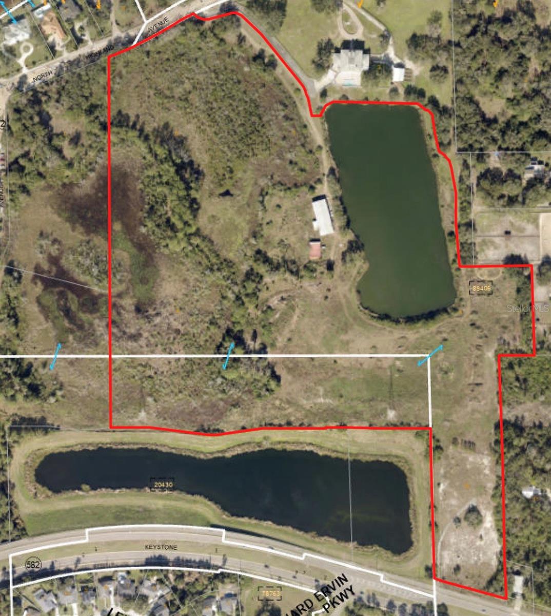 TAMPA & TARPON SPGS LAND CO - Land