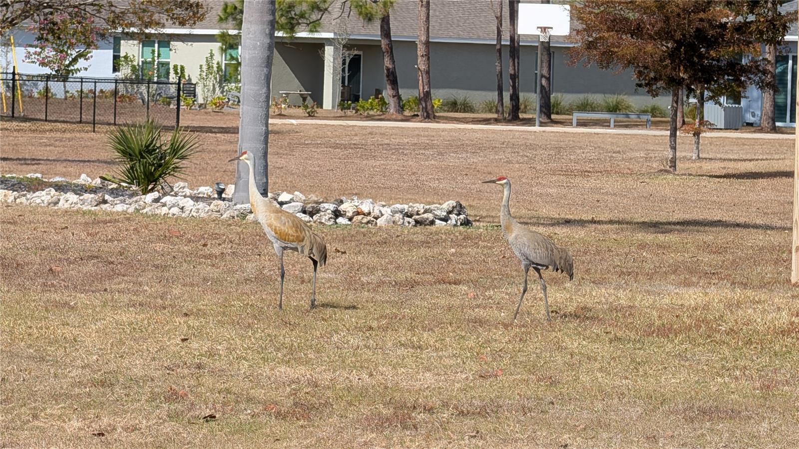 PUNTA GORDA ISLES SEC 16 - Residential