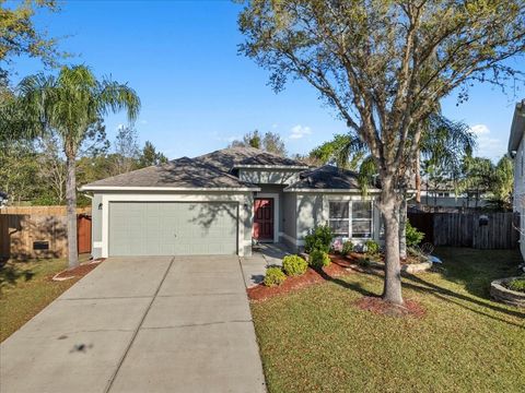 30119 RATTANA COURT WESLEY CHAPEL FL 33545