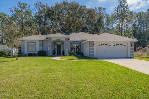 A home in PALM COAST