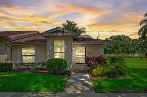 A home in SUN CITY CENTER