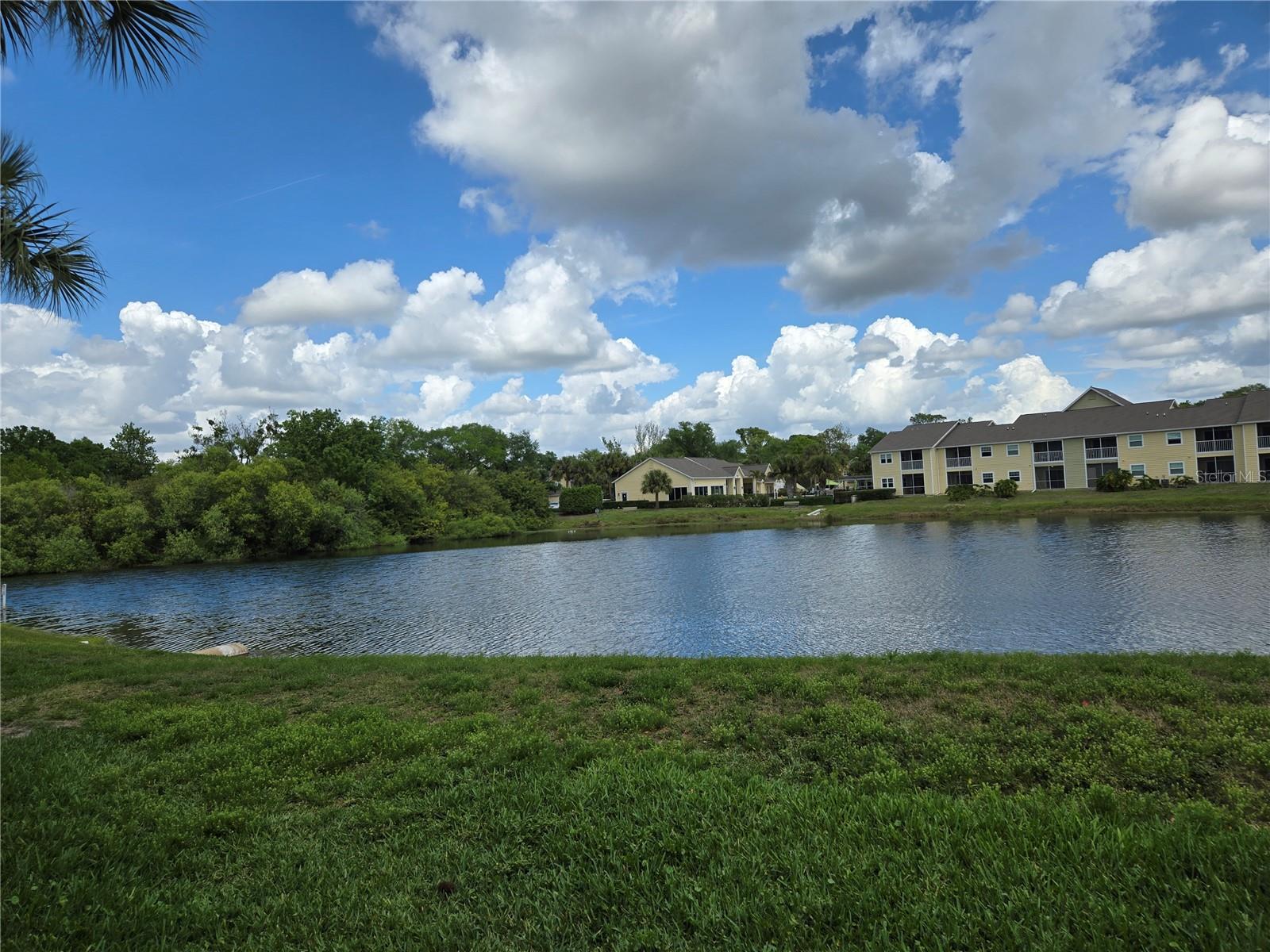 4021 CROCKERS LAKE BOULEVARD 11