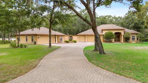 Photo of 16608 Livingston Avenue, Lutz, FL 33559 (MLS # TB8394167)