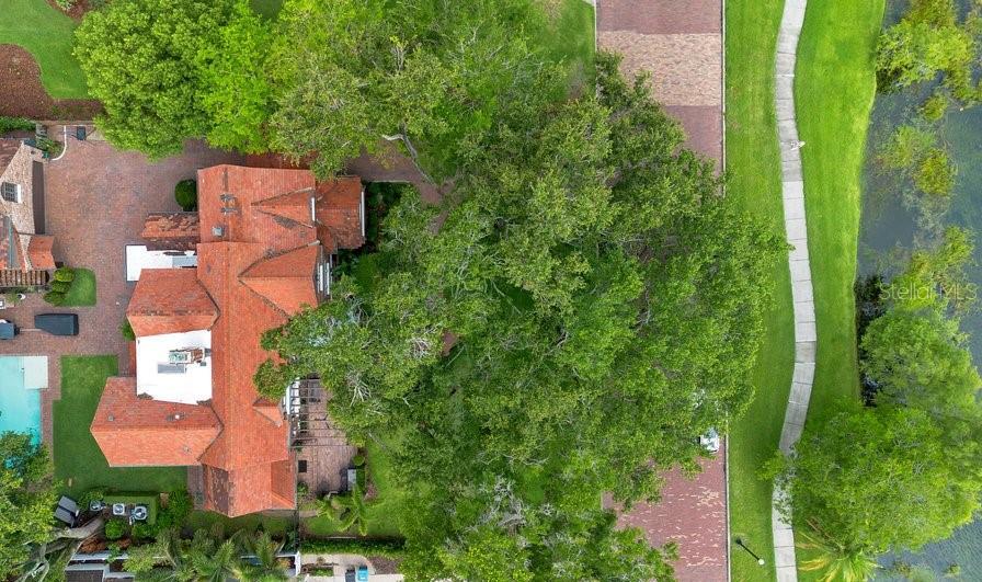 IVANHOE PARK - Residential