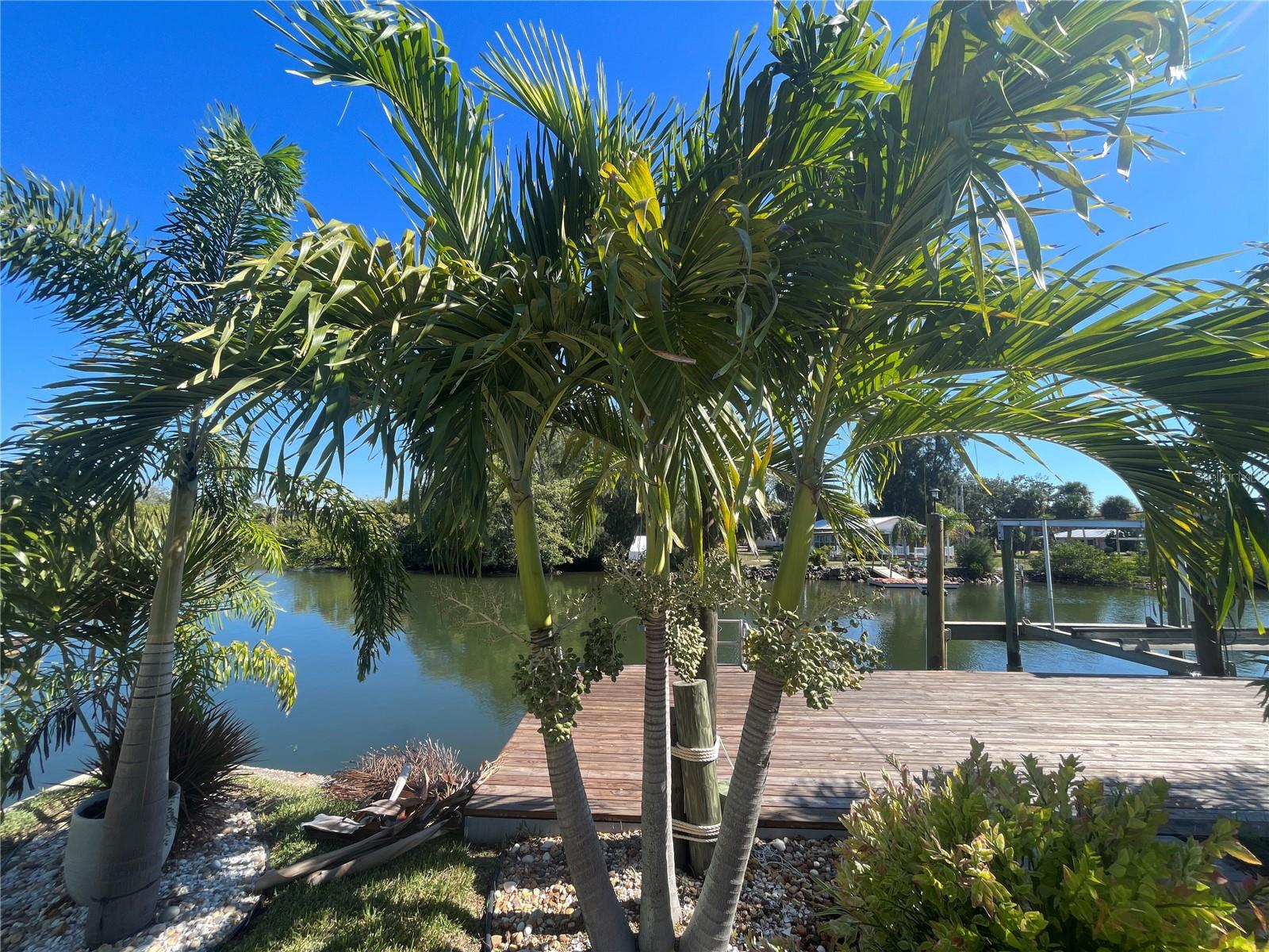 GULF SHORES - Residential