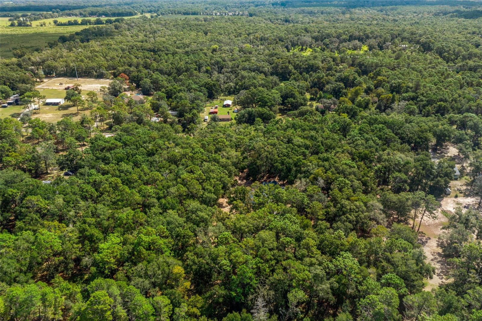 12950 S OAKVIEW AVENUE