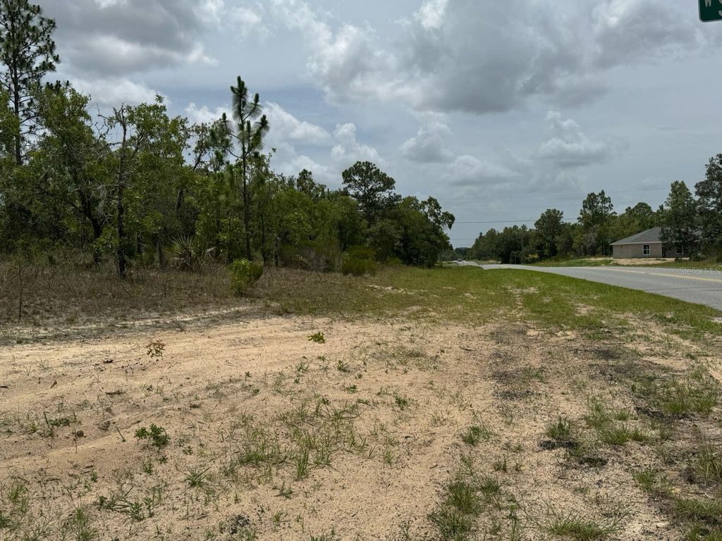 Photo of 2765 W Sheila Drive, Citrus Springs, FL 34433 (MLS # O6384776)