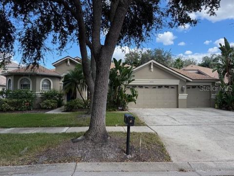 5955 JAEGERGLEN DRIVE LITHIA FL 33547