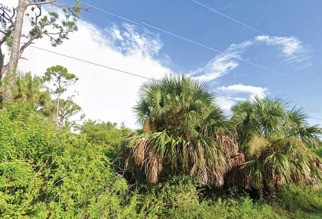 Photo of 23 Bamboo Drive, Port Charlotte, FL 33954 (MLS # O6273611)