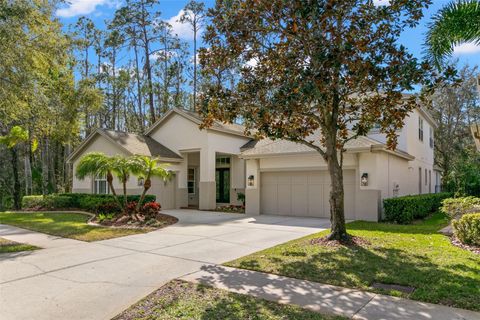 14841 TUDOR CHASE DRIVE TAMPA FL 33626