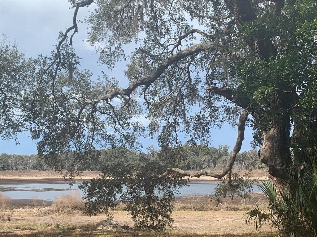 Photo of 600 N Woodlake Avenue, Inverness, FL 34453 (MLS # G5109675)