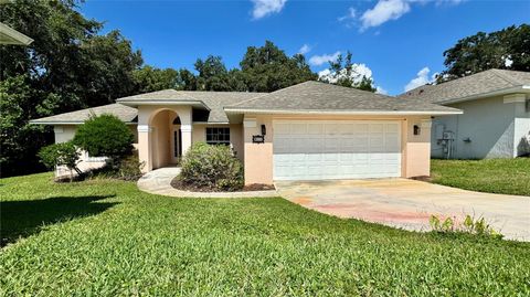 A home in MOUNT DORA