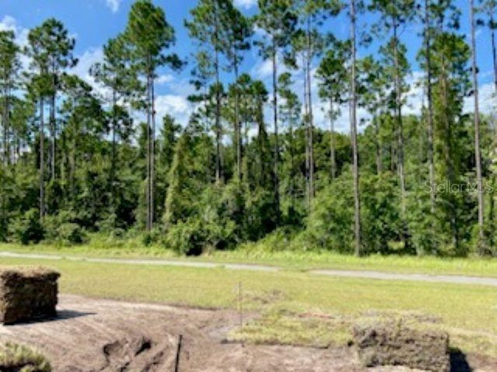 Photo of 116 Hulett Woods Road, Palm Coast, FL 32137 (MLS # FC301834)