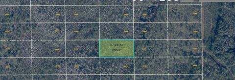 Photo of Dill Road, Orlando, FL 32820 (MLS # O6416902)