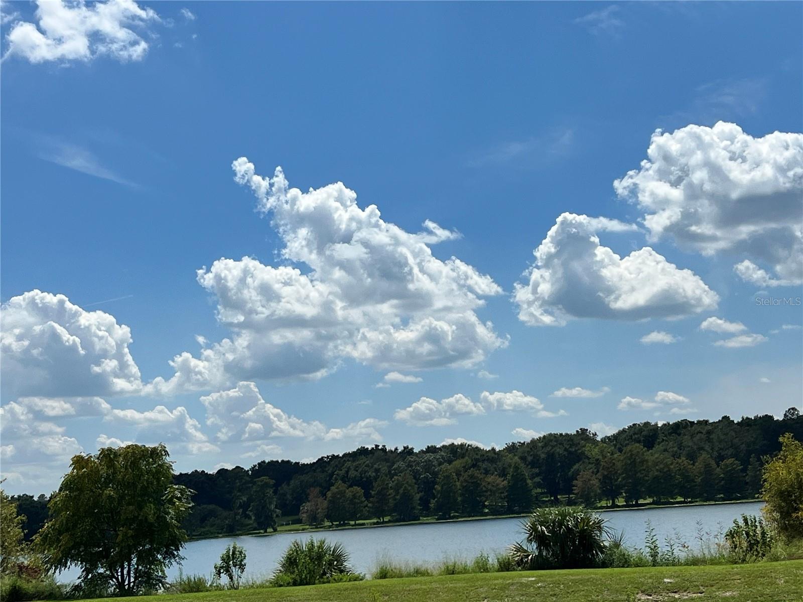 HAMPTONS/METROWEST - Residential Lease