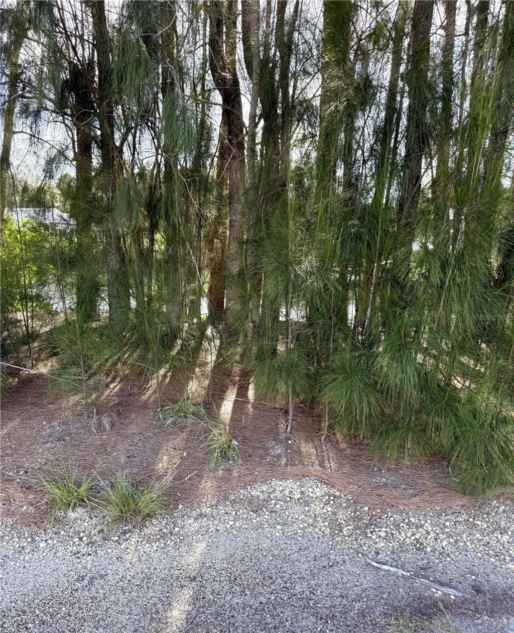 Photo of 0 Jills Lane, Aripeka, FL 34679 (MLS # TB8442907)