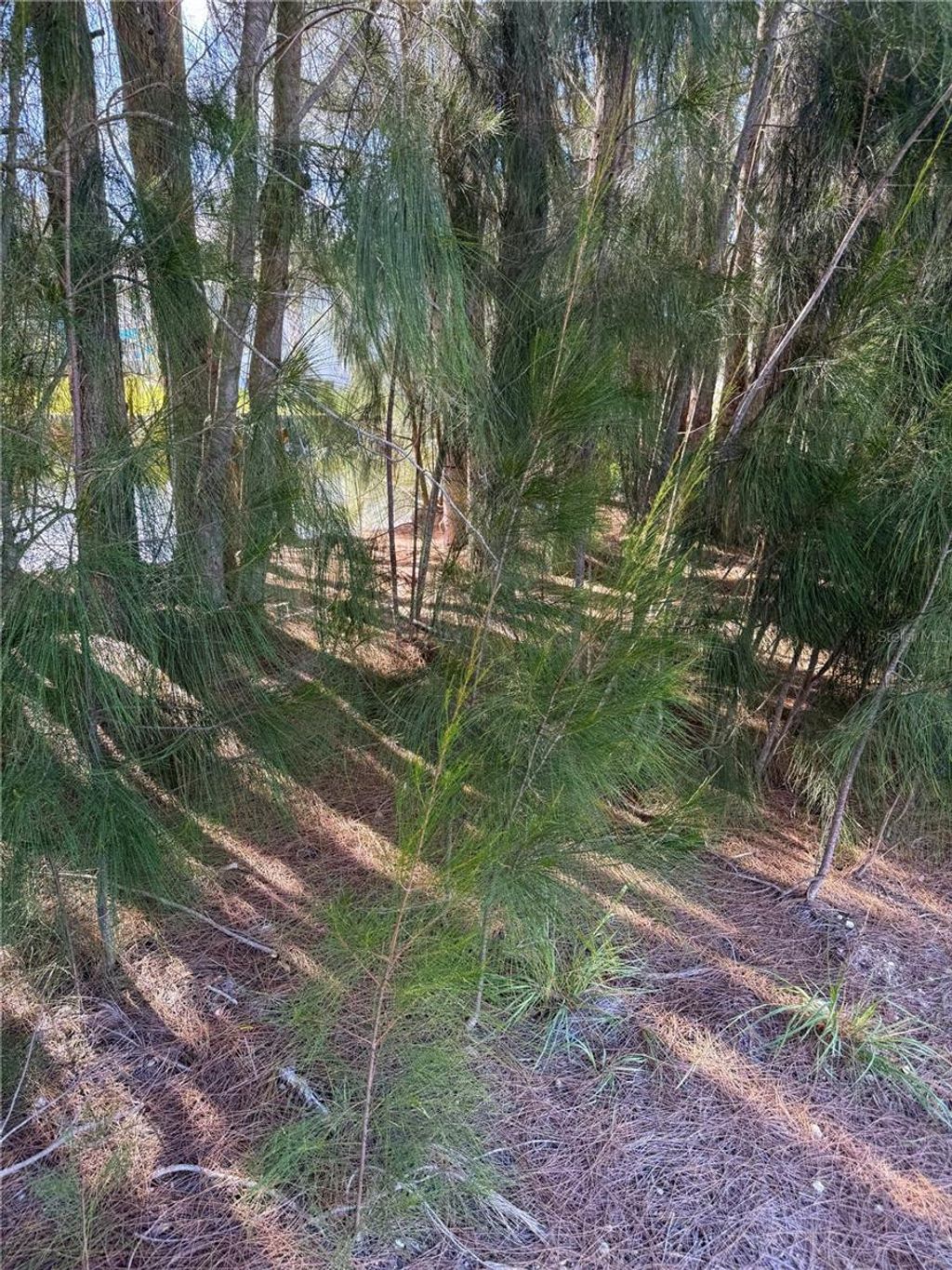 Photo of 0 Jills Lane, Aripeka, FL 34679 (MLS # TB8442907)