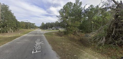 Tiny photo for Tbd Fisher Way, Ocklawaha, FL 32179 (MLS # O6395500)
