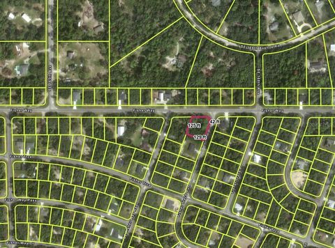 Tiny photo for Tbd Fisher Way, Ocklawaha, FL 32179 (MLS # O6395500)