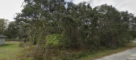 Tiny photo for Tbd Fisher Way, Ocklawaha, FL 32179 (MLS # O6395500)