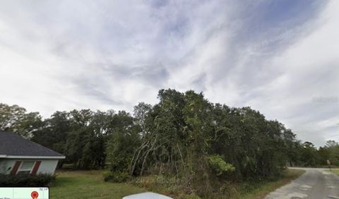 Tiny photo for Tbd Fisher Way, Ocklawaha, FL 32179 (MLS # O6395500)