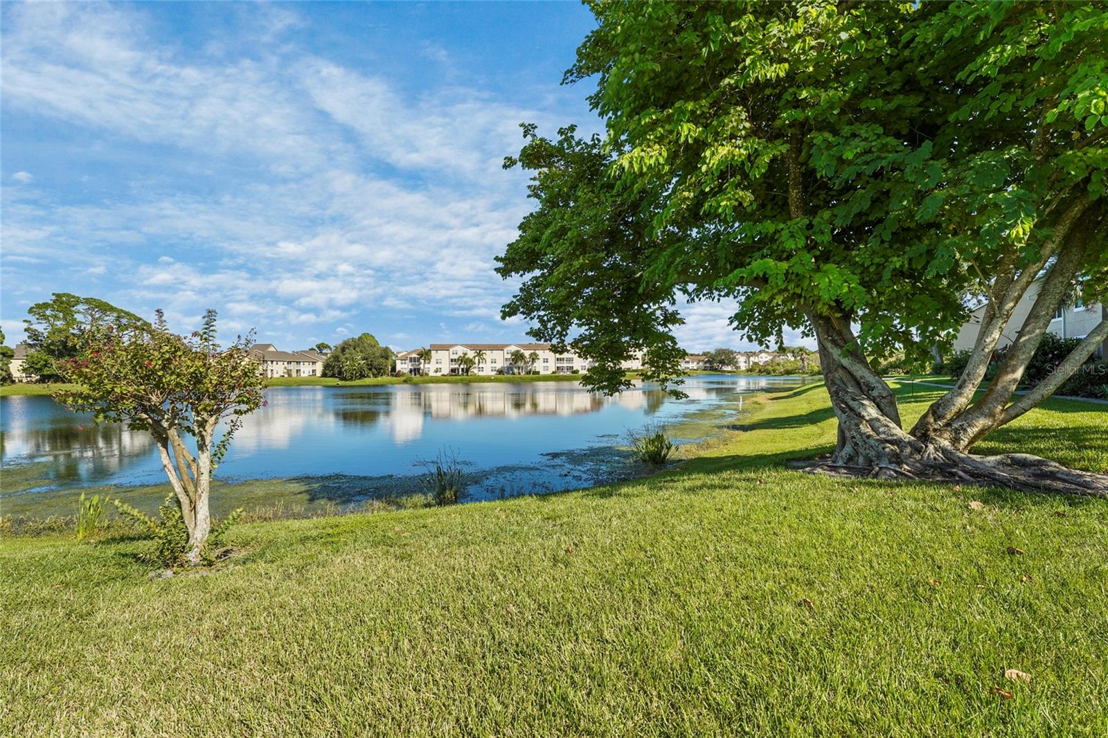 VINTAGE GRAND - Residential Lease