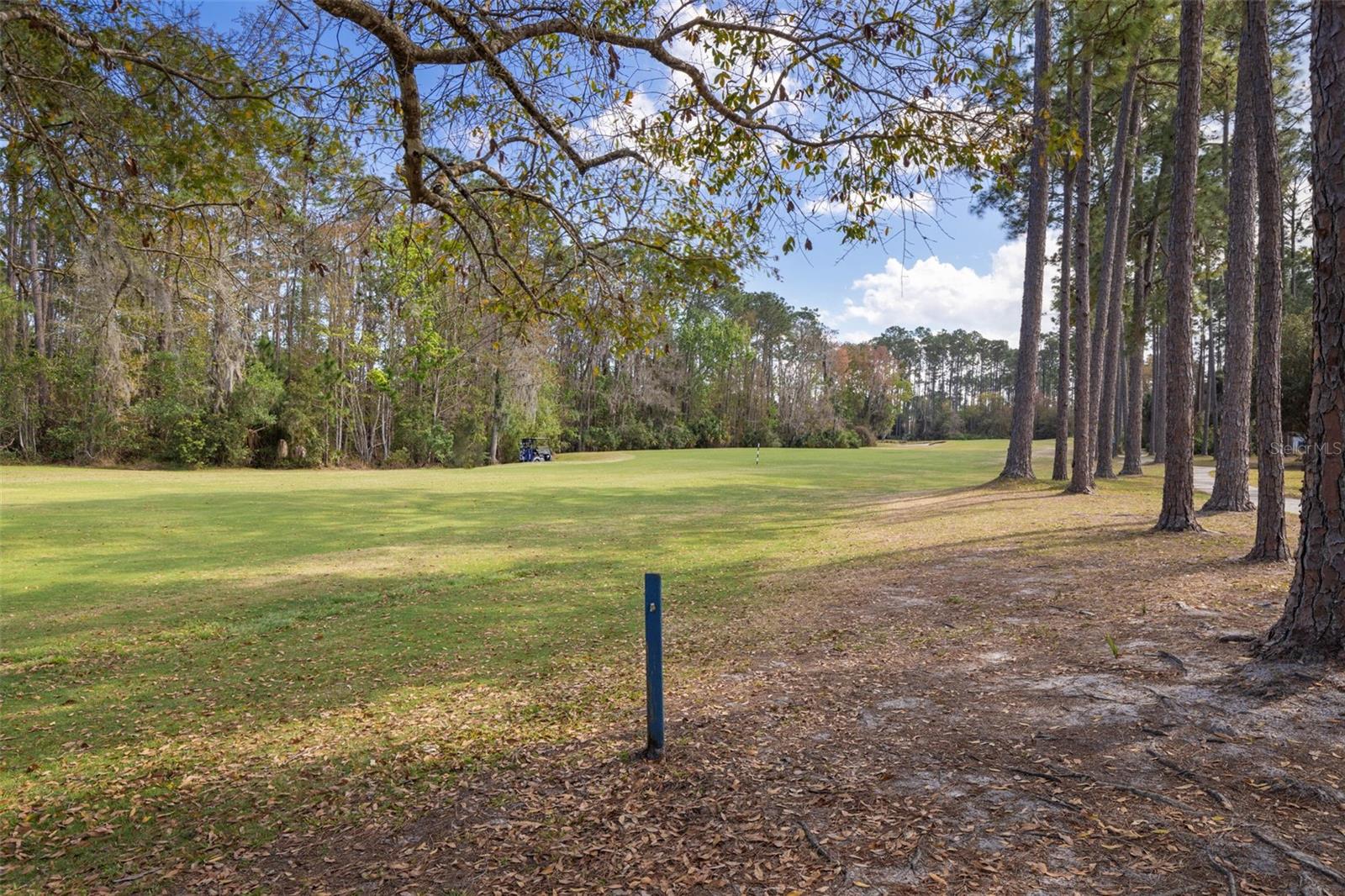 PALM COAST/EASTHAMPTON SEC 34 - Residential